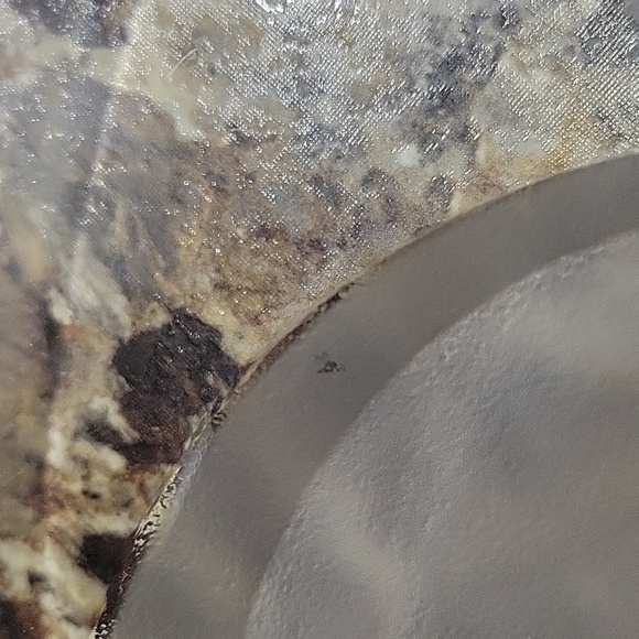 J.G. Durand platter - Picture 4 of 4